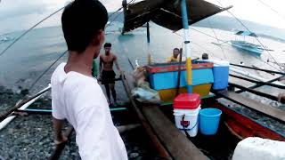 Wow Grabe Ang Jackpot sa mga Mamahaling Isadang Huli fishing fish viralvideo [upl. by Eneleoj]