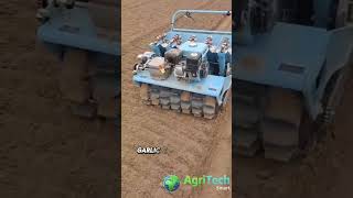 Garlic FARMING Made EASY with This Amazing Machine [upl. by Stillas]