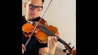 J Brahms Viola sonata N1 mvt 2 viola violista [upl. by Plato]