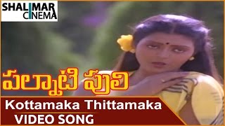 Palnati Puli Movie  Kottamaka Thittamaka Video Song  Balakrishna  Bhanupriya [upl. by Acebber]