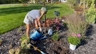 October Clearance Planting Phlox Hibiscus Yarrow and Kniphofia Added to the Fall Garden [upl. by Skippie]