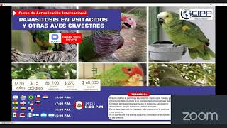 📚CURSO PARASITOSIS EN PSITÁCIDOS Y OTRAS AVES SILVESTRES [upl. by Eimot]