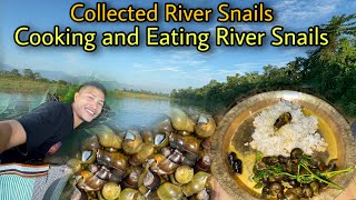 Collecting River Snails From Freshwater River  Cooking and Eating Snails 🐌  Village Life [upl. by Hallvard]