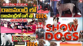 Dog show at rajamundry  రాజమండ్రిలో డాగ్ షో TV88 TELUGU [upl. by Ardelis534]