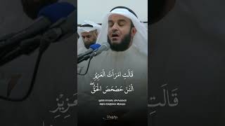 Beautiful Quran Recitation [upl. by Aissilem]