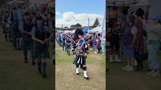 maceflourish from drummajor Barclay leading Towie pipeband march at 2024 Aboyne Games shorts [upl. by Barnabe]