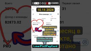 TG PINt2PAYcard pintopay ОТЗЫВЫ [upl. by Nagirrek]