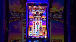 Super Stampede on Buffalo Ascension  100 tipsyslots [upl. by Einnol477]