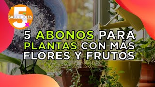 5 abonos efectivos para plantas con más flores y frutos  Salud180 [upl. by Anora]