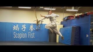 Shaolin Scorpion Fist 少林蝎子拳 by Master Shi Yanxiang 释延想 performs  VPRC [upl. by Fiorenze]