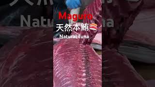 Japanesefood Maguro [upl. by Lussier]