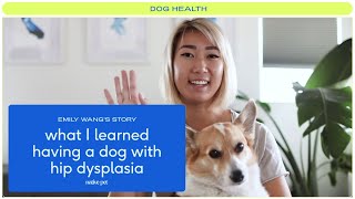 What I Learned Having a Dog with Hip Dysplasia [upl. by Aitan]