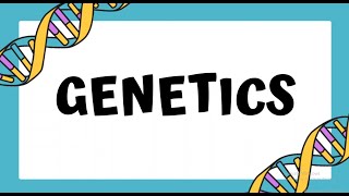 Lec 5 Genetics [upl. by Rotman]