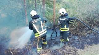 Waldbrand in den Bundesforsten am 30082019 [upl. by Gallager]