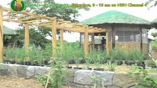 Natural Food Farm in Gawad Kalinga Enchanted Farm [upl. by Sobel]