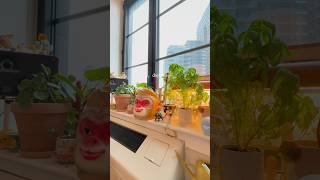 nyc apartment day vs night interiordesign dreaminterior homedecor homeinspiration roominspo [upl. by Maurizia355]