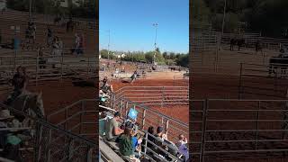 Horse Race in Queen Creek [upl. by Clevey182]