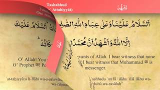 Learn how to Pray Tashahhud iRecite [upl. by Yesdnik]