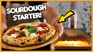 Neapolitan sourdough pizza dough full recipe 🍕 [upl. by Setarcos]