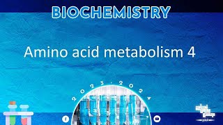 L4 Amino acid metabolism  Glutamic acid Glutamine Aspartic acid Asparagine Biochemistry [upl. by Bethanne812]