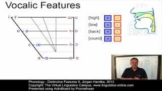 PHY104  Distinctive Features II [upl. by Murdock]