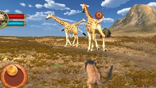 Ultimate Lion Attack Simulator gameplay [upl. by Quitt]