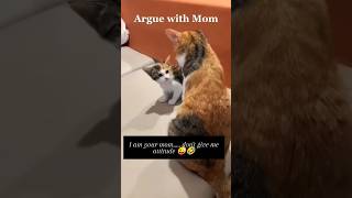 DONT ARGUE WITH MOM cat catsnkittens funny kittten [upl. by Mailliw]