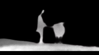 The Cow 1969 by Dariush Mehrjui Clip Extraordinary abstract dreamlike Opening Titles [upl. by Paugh]