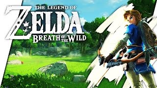 Rhino beetle location in Zelda breath of the wild [upl. by Etteuqal]