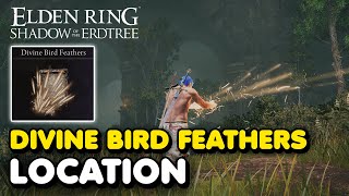 Elden Ring DLC  Divine Bird Feathers Location Shadow of The Erdtree Incantation [upl. by Naenej]