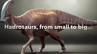 Hadrosaurs Size Comparison [upl. by Vey]