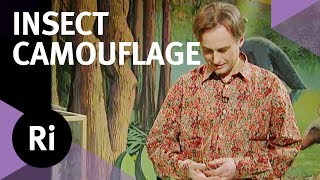 How Stick Insects Use Camouflage  with Richard Dawkins [upl. by Ellennaj]