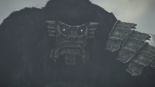 Shadow of the Colossus PS4 Colossus 15 Argus Boss Fight [upl. by Perceval894]