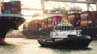 Remotecontrolled Voith Schneider Propeller rcVSP – Standardized and automated ship assistance [upl. by Ynneb]