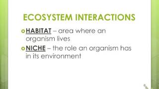 Ecology Notes  Organisms amp Their Relationships [upl. by Colyer]