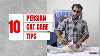 10 Persian cat care tips  How to keep persian cat healthy  Aliyan Pets Hospital [upl. by Johnnie]