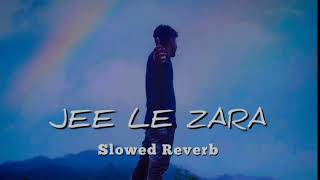 JEE LE ZARA SLOWED REVERB [upl. by Cordova]