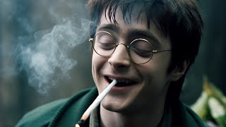 Harry Pothead and the HalfBaked Prince Harry Potter Parody [upl. by Harac]