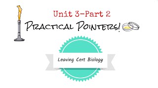 Unit 3 Practicals Part 2 Biology Bugbears Practicals 2024 [upl. by Aeneus]