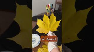 خريف  كنزة و كلور اكسبلور diy sewing ترند [upl. by Kcirredal40]