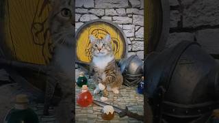 Khajiit has wares if you have coin skyrim elderscrolls gaming gamer cats [upl. by Haggi110]