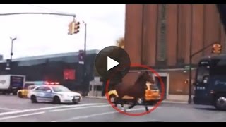 Runaway Carriage Horse in NYC [upl. by Edyaw]