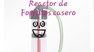 REACTOR DE FOSFATOS CASERO DIY phosBan Reactor [upl. by Ayhtin]