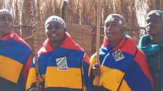 AmasokanaMaphogo Ndebele Zeskethuu2022❤💛💙🤎moedverloren [upl. by Ursal]