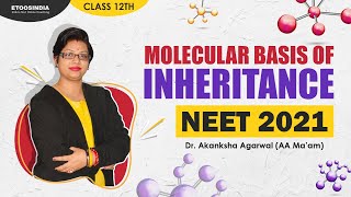 Molecular Basis of Inheritance Class 12th  NEET 2021 Preparation by AA mam  Etoosindia [upl. by Liebman]