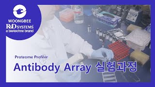 RampD Systems® Proteome Profiler Antibody Array 실험과정 공식대리점 웅비메디텍 [upl. by Derf]