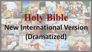 AudioBible NIV 42 Luke Dramatized New International Version High Quality [upl. by Lenno565]