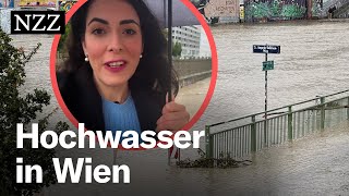 Hochwasser in Wien Nicht die Donau ist das Problem – sondern der Wienfluss [upl. by Teague]