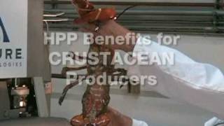 Avure Technologies Seafood High Pressure Processing HPP 2009 [upl. by Biamonte761]