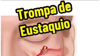 Trompa de Eustaquio [upl. by Candyce]